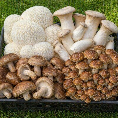 Mix Ciuperci Gourmet Proaspete